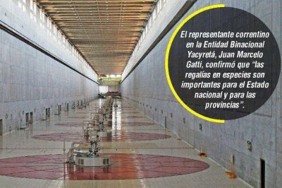 Provincia y Naci�n analizan forma de compensar deuda con energ�a