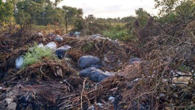 Denuncian un basural clandestino en Cort�nez