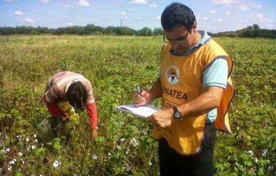 Denuncian el vaciamiento de Renatea