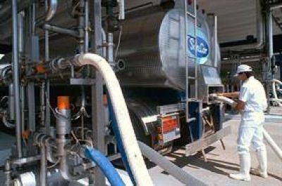 Coca-Cola confirm� que quiere comprar el negocio de yogures, flanes y postres de Sancor