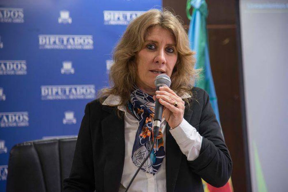 Lordn en una jornada en Diputados: debemos evaluar si es necesaria un Ley de cncer para Buenos Aires