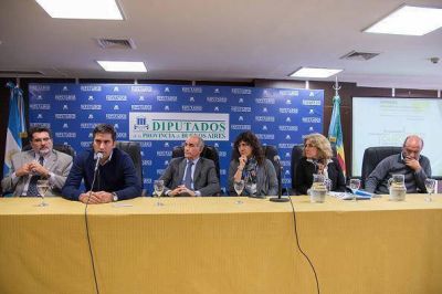 Diputados, Gobierno y ONG's debatieron sobre prevenci�n y control del c�ncer