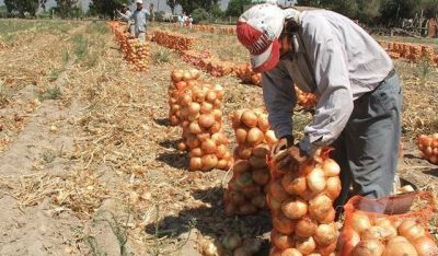 La provincia subast� $95 millones para l�neas de cr�dito