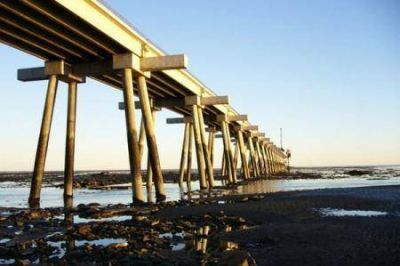 Bertone anunci� que se retomar� la obra del puerto de R�o Grande