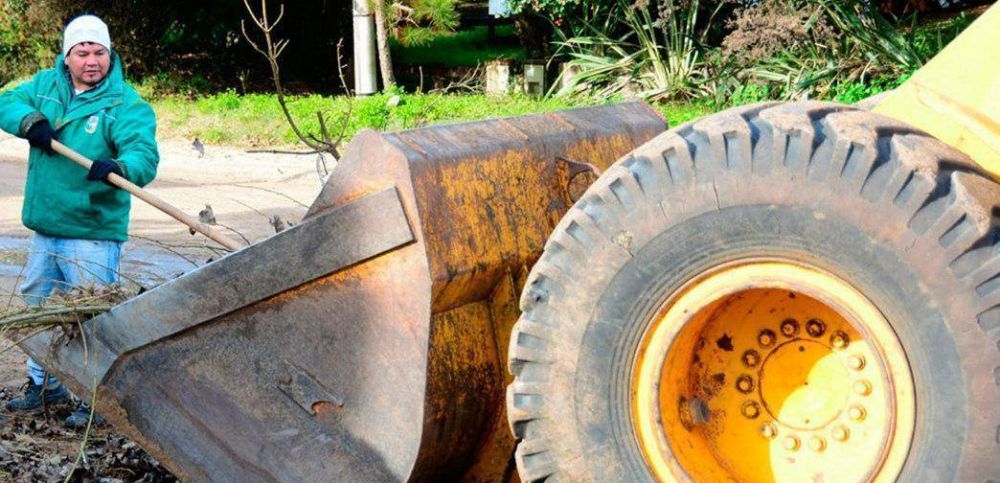 El corral�n contin�a levantando ramas de la calle