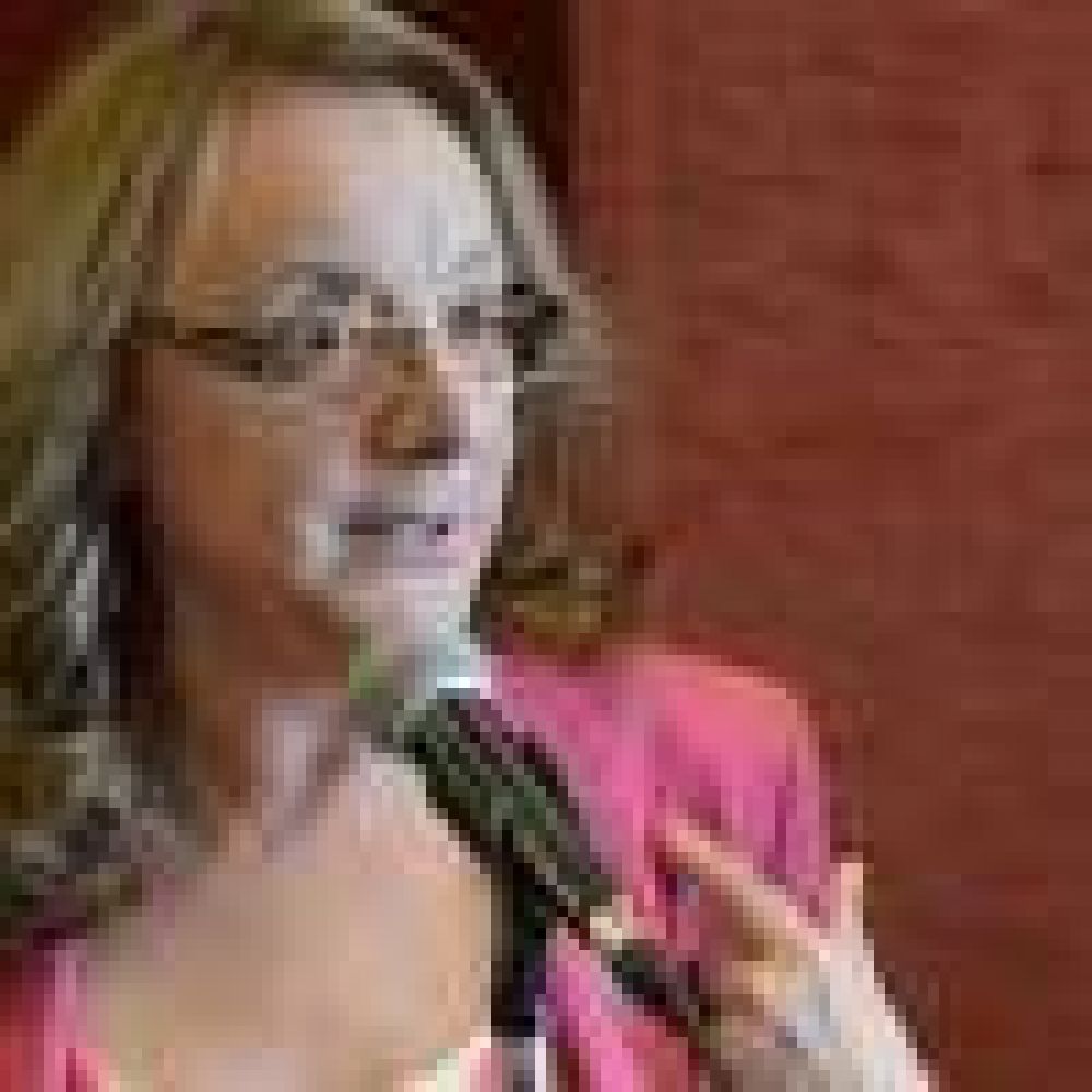 La gobernadora enviar� un proyecto para declarar la emergencia sanitaria