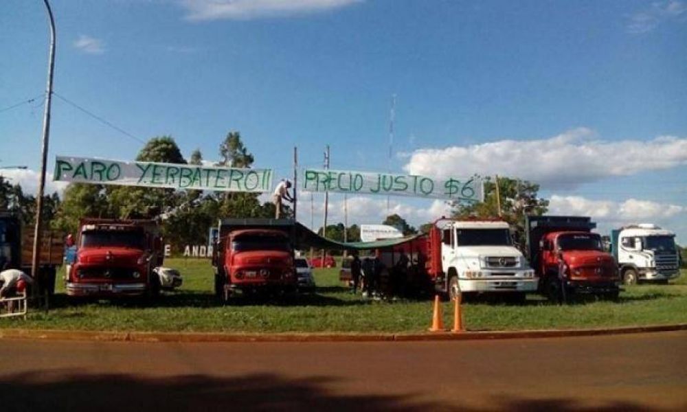 Yerba: Afirman que secaderos de zona Centro pagan $3 y obligan a los productores a firmar por $4,80