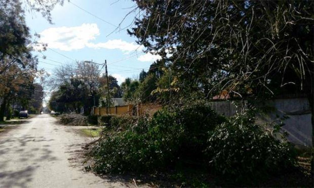 La recolecci�n de restos de poda, un dolor de cabeza para el Municipio