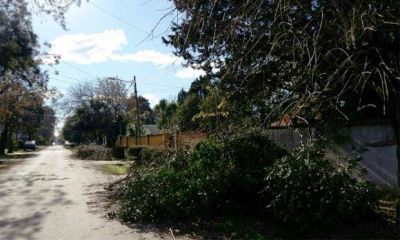 La recolecci�n de restos de poda, un dolor de cabeza para el Municipio