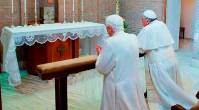 Papa Francisco: Benedicto XVI ense�a con su vida c�mo hacer teolog�a de rodillas