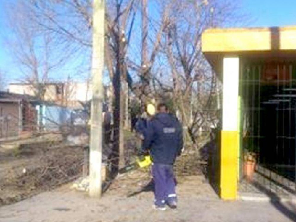 Poda en la Escuela N� 15