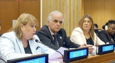 Bertone: �Malvinas es la causa de mayor trascendencia institucional de nuestra Provincia�