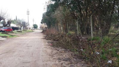 La Municipalidad cort� las ramas y no las retir�