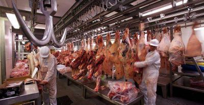 La Provincia gestion� m�s asistencia nacional para el sector gastron�mico y los frigor�ficos
