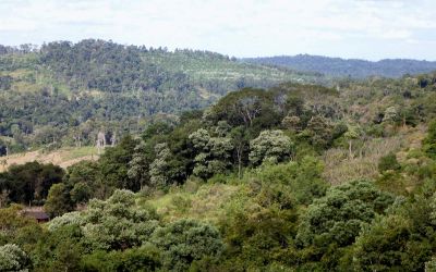 Misiones cre� el primer Banco Gen�tico de animales y fauna para conservar las especies en extinci�n