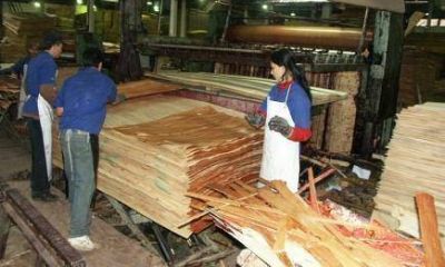 Desde el sector maderero sufren la apertura de importaciones y ven dif�cil una reactivaci�n
