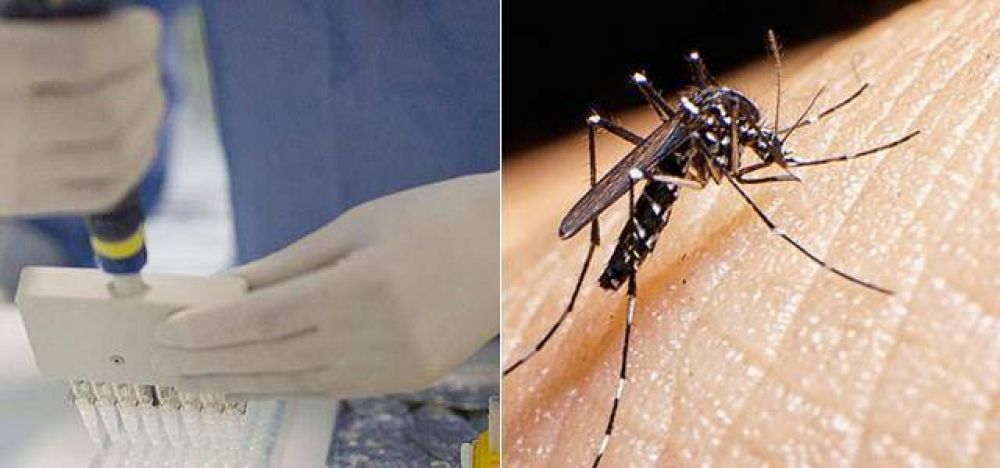 Esperan que en 2017 est� la vacuna contra el zika
