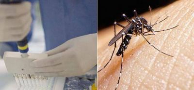 Esperan que en 2017 est� la vacuna contra el zika