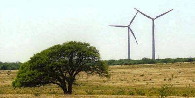 Empresa analiza instalar parque e�lico en Acha