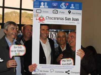 Tomate: Producci�n local, bien calificada