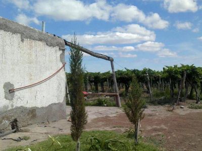 Zona Este: abandonan fincas porque no pueden mantenerlas