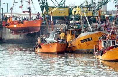 Luis Ignoto: �las lanchas amarillas fueron desapareciendo y s�lo quedan 23 operativas�