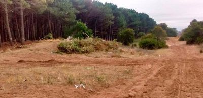 La polic�a evit� una nueva usurpaci�n de terrenos