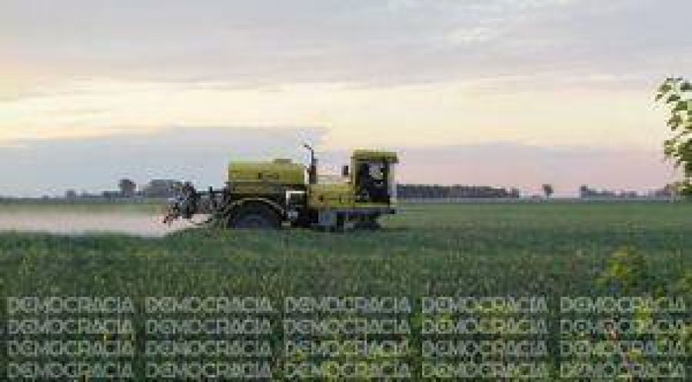 Aplicaci�n de agroqu�micos en la mira: no siempre se respeta la �franja verde�