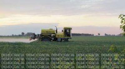 Aplicaci�n de agroqu�micos en la mira: no siempre se respeta la �franja verde�
