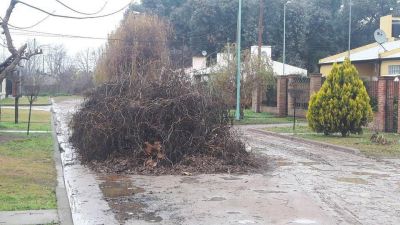 M�s quejas de vecinos por monta�as de ramas en la v�a p�blica