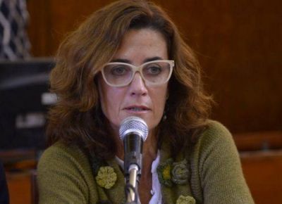 Diputados del FpV quieren saber por aplicaci�n de aumentos en la luz 