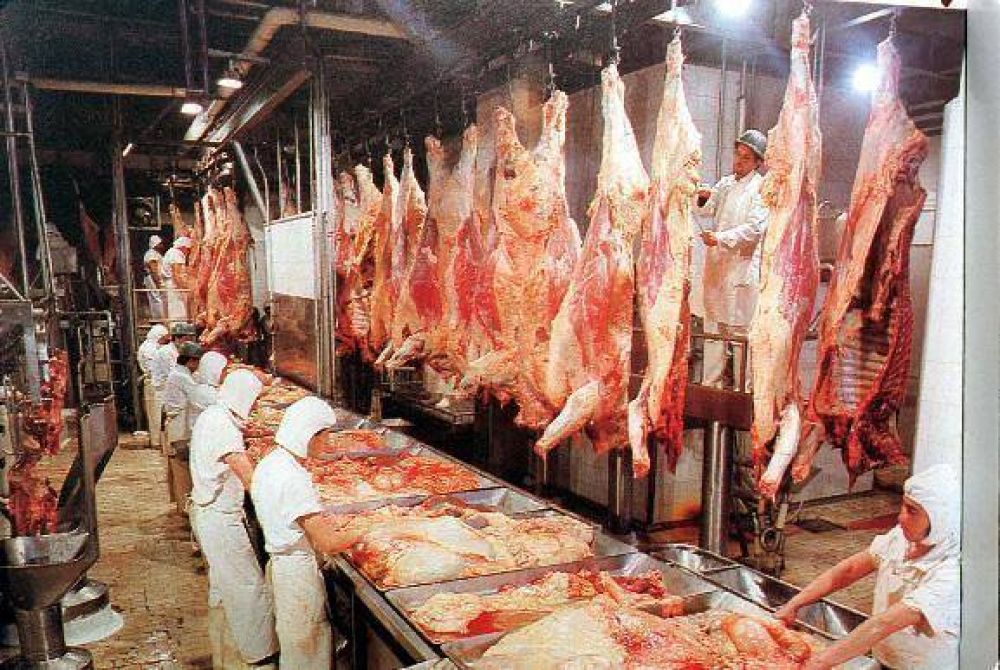  El consumo de la carne baj alrededor de un 8%