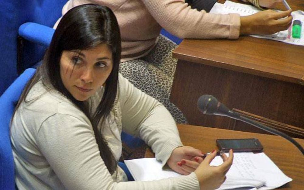 Lata critic� que la oposici�n �deja sin una herramienta al vecino�