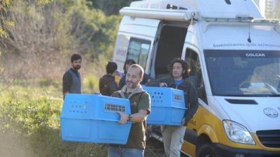 El zoo porte�o reabre en una semana, pero s�lo podr�n entrar 2.000 personas por d�a