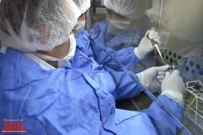 Salvan la vida a un bebe en Chile gracias a suero que produce la Provincia
