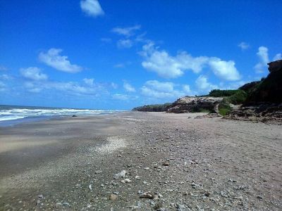 MIRAMAR: El proyecto de reserva natural entre Mar del Sud y Centinela est� frenado
