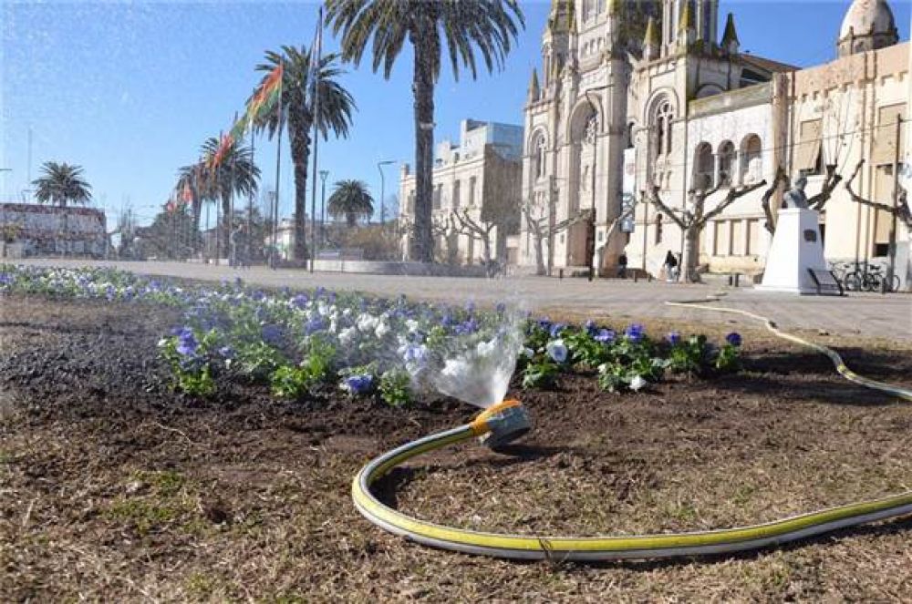 Se colocan plantas de estaci�n en el centro c�vico
