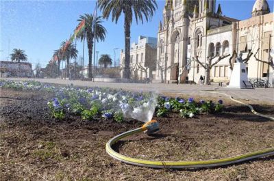 Se colocan plantas de estaci�n en el centro c�vico