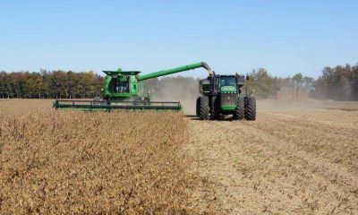 Cae la actividad industrial bonaerense y crece el modelo agroexportador