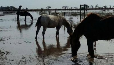 Las lluvias causan p�rdidas por casi U$S 1.000 millones