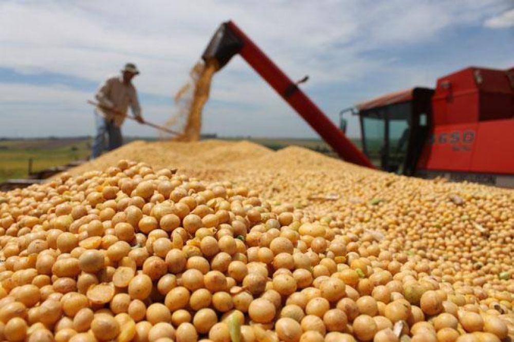 El fondo de la soja subi un 43% en el primer semestre en La Pampa