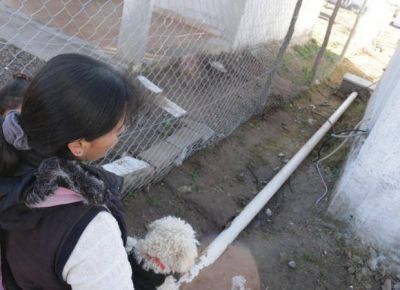 La Toma: el Gobierno conectar� el agua y las cloacas a las 20 familias