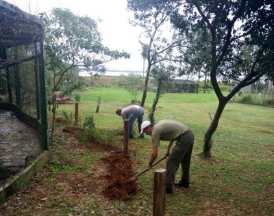 Passalacqua entregar� 500 t�tulos de propiedad en Eldorado y habilitar� el parque �El Puma� en Candelaria