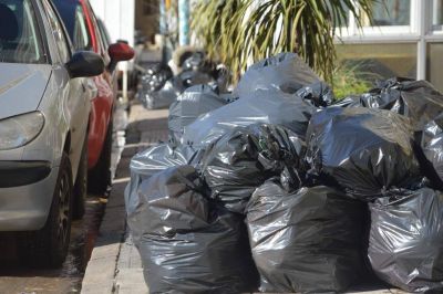 Calma radicales, operaciones �berretas� y el llamado a artistas