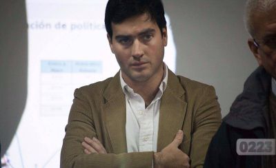 �Qu� pajarito!, peleas de gaviotas y de paso ca�azo