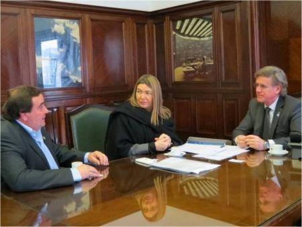 La gobernadora se reuni con el secretario de Energa Elctrica de Nacin