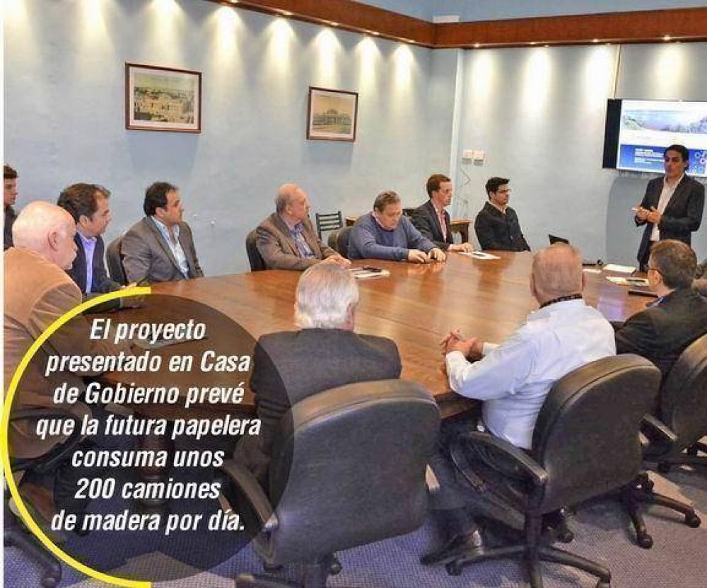 Papelera y viviendas, las opciones contra el d�ficit foresto industrial