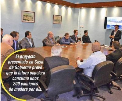 Papelera y viviendas, las opciones contra el d�ficit foresto industrial