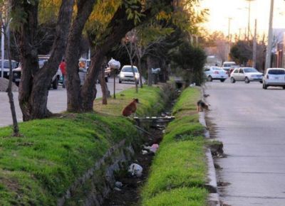 Limpiar�n un canal que pasa por siete barrios de la ciudad