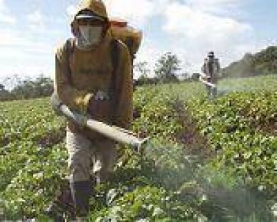 Ampl�an la investigaci�n sobre el impacto de agroqu�micos en salud y medio ambiente